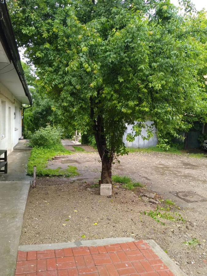 Garsoniera In Centru Apartamento Cluj-Napoca Exterior foto